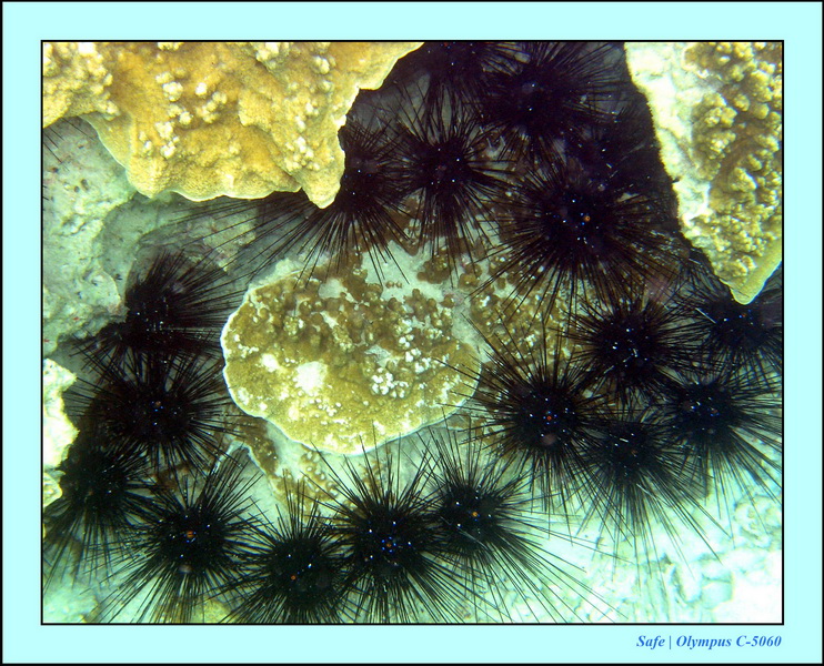 2005 - 08 - Perhentian  - 056.JPG